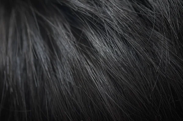 Düz, zarif, koyu renk saçlar çapraz bir akış içinde yakalanıyor ve güzellik ve refah için sofistike ve minimalist bir zemin oluşturuyor..