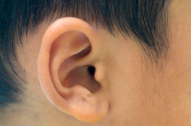 Dış kulağın karmaşık yapısının detaylı bir yakın çekimi, kıvrımlarını ve kıvrımlarını siyah saçlara karşı sergiliyor, tıbbi ve anatomik içerikler için mükemmel..