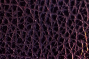 Soyut Teknik Doku: Birbirine Bağlı Sırtlar Sünger benzeri Web Oluşturuyor