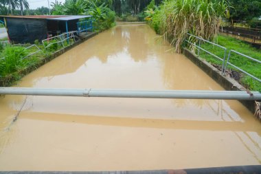 Yükselen Tehdit: Sel Suları Tehlikeli Yapıya Yakın, Tropikal Fırtınaların Tehlikesini Vurguluyor