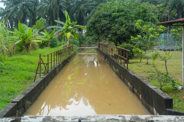 Kentsel Muson Sahnesi: Güneydoğu Asya 'da Muğlak Su, Yeşillik ve Konut Binası ile Taşan Su Kanalı