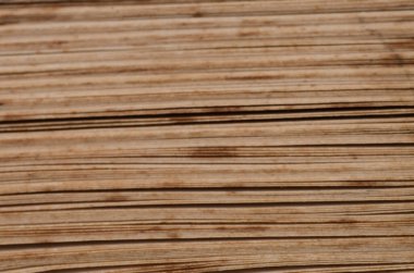 Yaşlanmış Sarı Kitap Sayfası Kenarları Tilki Lekeli Macro Görünümü