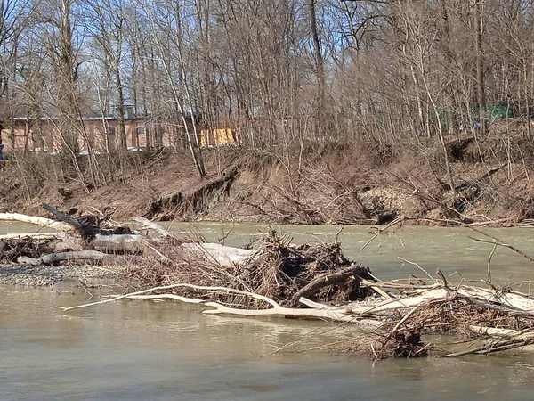 Psheha Nehri bölgesinde doğa