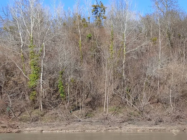 Psheha Nehri bölgesinde doğa