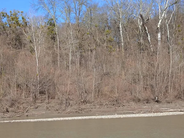 Psheha Nehri bölgesinde doğa