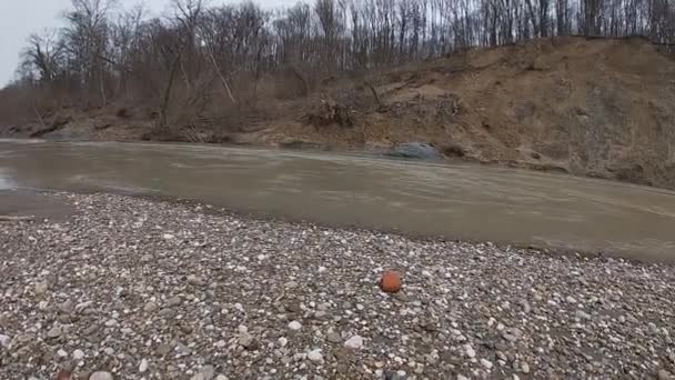 Natuur op de linkeroever van de rivier de Psheha — Stockvideo