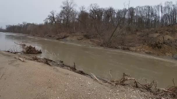 Aan de linkeroever van de rivier de Psheha — Stockvideo