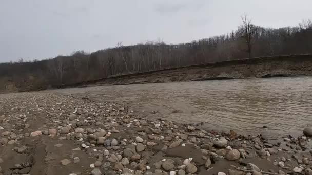 La rive gauche de la rivière Prsheha — Video