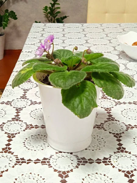 Heykeller 20. yüzyılda SSCB 'de oluşturuldu..