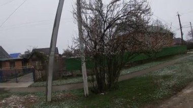 Kuban 'da bahar sonu, çiçek açan bahçeler..