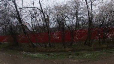 Kuban 'da bahar sonu, çiçek açan bahçeler..