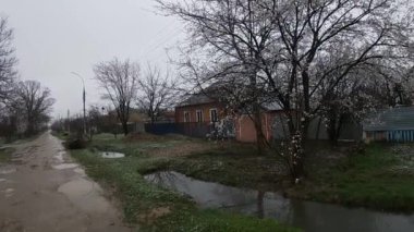 Kuban 'da bahar sonu, çiçek açan bahçeler..