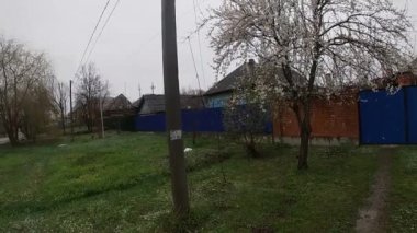 Kuban 'da bahar sonu, çiçek açan bahçeler..