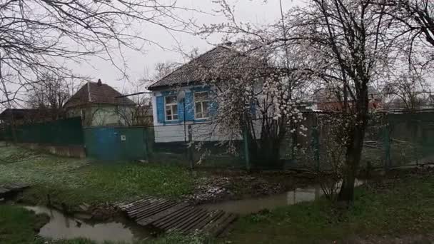 Поздняя весна на Кубани, цветущие сады. — стоковое видео