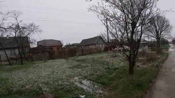Late spring in Kuban, flowering gardens. — Stock Video