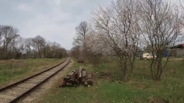 Baharın sonlarında Kuban 'da, nisan ayında çiçek açan bahçeler.