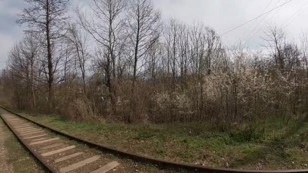 Primavera tardia em Kuban, jardins floridos em abril-mês. — Vídeo de Stock