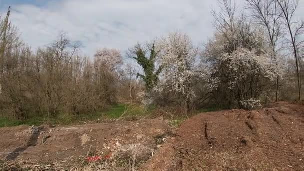 Finales de primavera en Kuban, jardines con flores en abril-mes. — Vídeo de stock