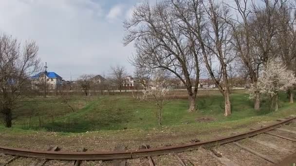 Sen vår i Kuban, blommande trädgårdar i april månad. — Stockvideo