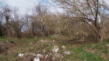 Baharın sonlarında Kuban 'da, nisan ayında çiçek açan bahçeler.