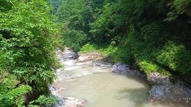 Krasnodar Bölgesi Apsheron Bölgesi Guam Boğazı 'nın doğası.