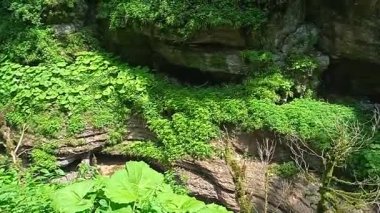 Krasnodar Bölgesi Apsheron Bölgesi Guam Boğazı 'nın doğası.