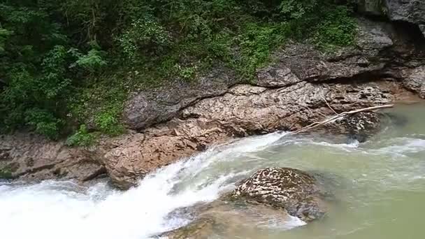 De natuur van de Guam-kloof van het Apsheron-district Krasnodar — Stockvideo