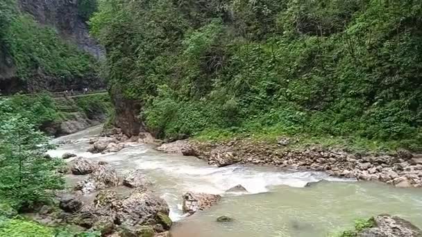 クラスノダール地方のアプション地区のグアム峡谷の性質 — ストック動画