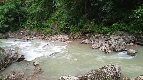 Natura Cheilor Guam din districtul Apsheron din regiunea Krasnodar — Videoclip de stoc