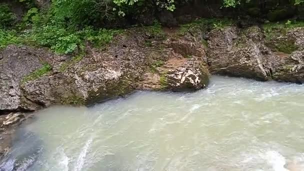 Natura Cheilor Guam din districtul Apsheron din regiunea Krasnodar — Videoclip de stoc