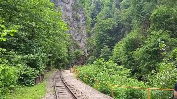 De natuur van de Guam-kloof van het Apsheron-district Krasnodar — Stockvideo