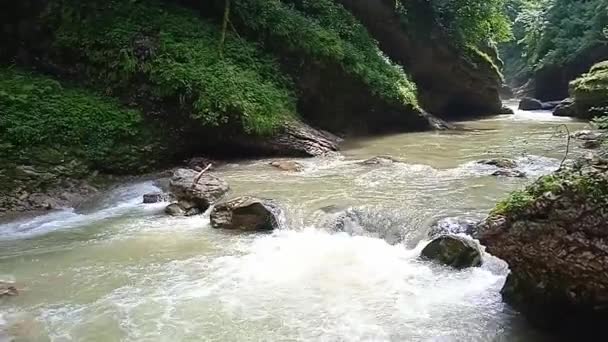 A natureza do desfiladeiro de Guam do distrito de Apsheron da região de Krasnodar — Vídeo de Stock