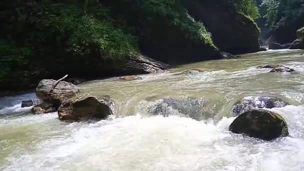Arten av Guam Gorge i Apsheron District i Krasnodar regionen — Stockvideo