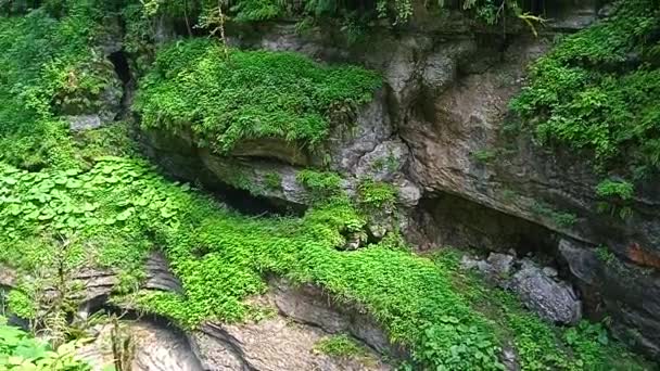 De natuur van de Guam-kloof van het Apsheron-district Krasnodar — Stockvideo