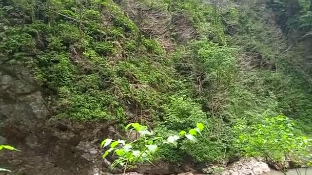 Guam Gorge i Apsheron-distriktet i Krasnodar-regionen – stockvideo