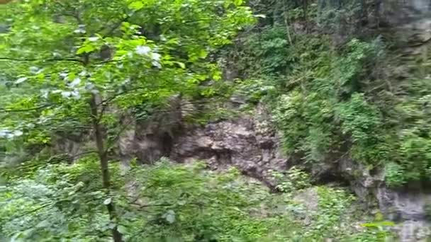 La natura della gola di Guam del distretto Apsheron della regione di Krasnodar — Video Stock