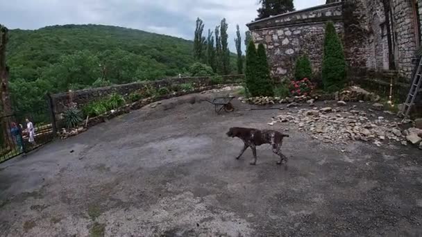 El lugar fue glorificado por Zlatoust en la República de Abjasia — Vídeos de Stock