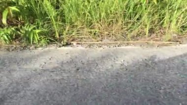 kırık yol kötü asfalt