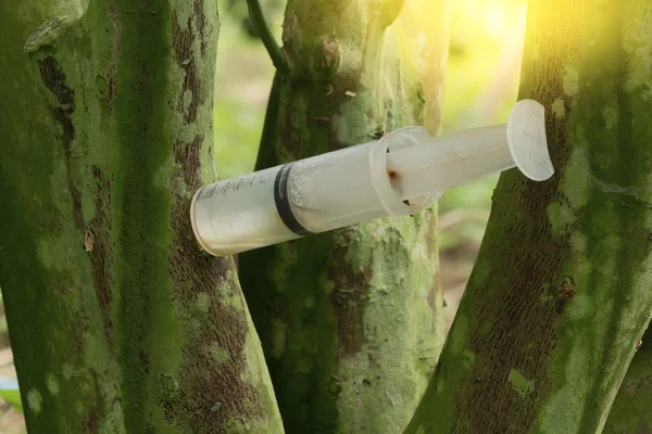 Orange tree with a syringe — Stock Photo, Image