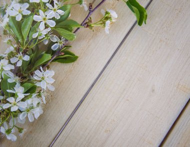 Ahşap bir arka planda çiçek açan bir elma dalı. Sol taraftaki masanın üzerinde beyaz çiçekler var. Boşluğu kopyala.