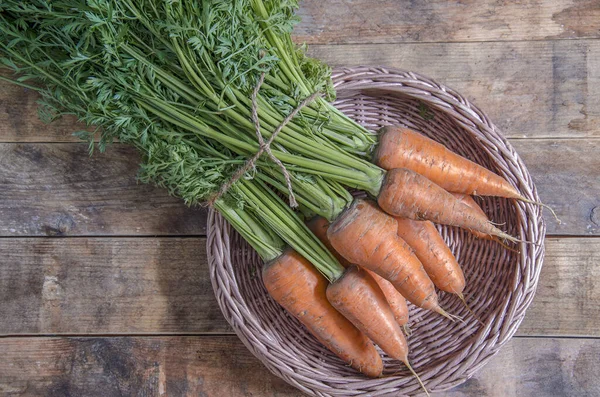 A bunch of ripe carrots on a tray. — Stok Foto