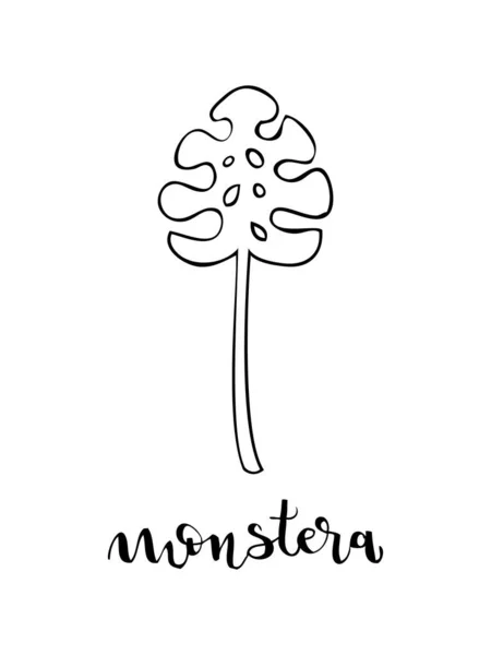 Hoja Letras Monstera Estilo Lineal Ilustración Del Vector Estilo Dibujado — Vector de stock