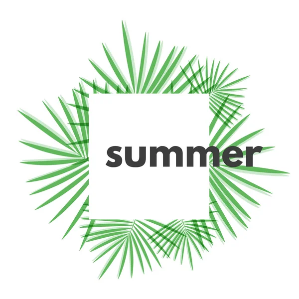 Fundo Verão Com Folhas Palma Tropicais Verdes Ilustração Vetorial Design —  Vetores de Stock