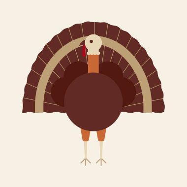 Açık kuyruklu hindi kuşu. Şükran Günü ikonu. Vektör illüstrasyonu, düz tasarım