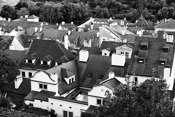 Nice prague roofs — Stock Photo, Image