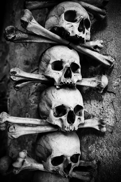 Kafatası ve kemik koleksiyonu — Stok fotoğraf