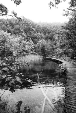 Plitvice Gölleri Milli Parkı şelale, plitvica, Hırvatistan
