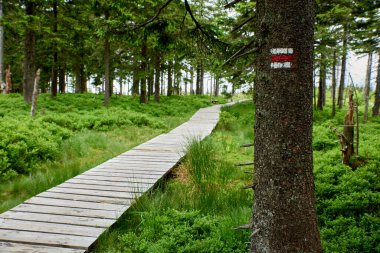 Czech Cumhuriyeti 'nde turist damgası