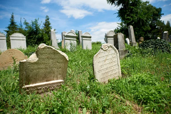 Julio 2020 Breclav República Checa Antiguo Cementerio Judío Breclav Julio —  Fotos de Stock