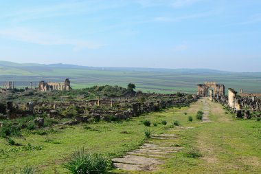 Volubilis